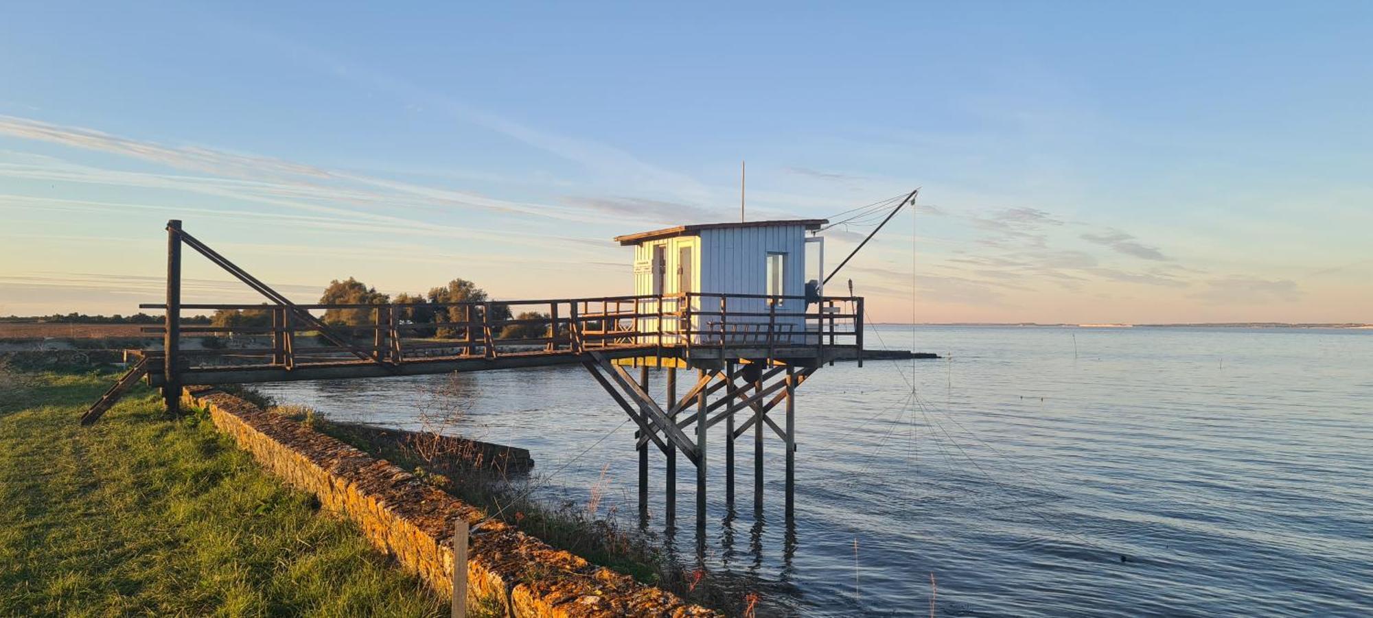 Domaine Des Pres De Joussac - Protocole Sanitaire Strict Villa Jau-Dignac-et-Loirac Eksteriør bilde